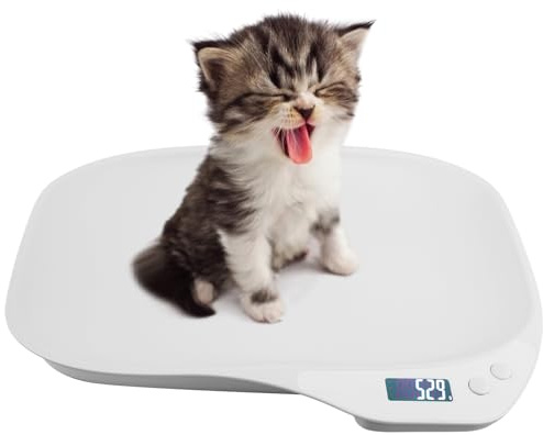GBKDQQ Husdjursvåg för små djur, liten djurvåg 15 kg (±1 gram), hundvåg med 4 vägningslägen (kg/oz/lb/ml), kattvåg för kattungar, valpar, hamstrar, små fåglar, kaniner
