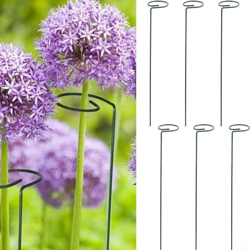 6 Stück Pflanzenstecker aus Metall für Kletterpflanzen für Rosen und Setzlinge (40)