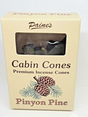 Pinyon Pine #25 Incense Log Cabin Cones Paine's Maine USA Campfire Camping