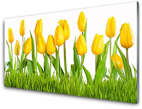 Tulup Acrylic Print 100x50cm Wall Art - Wall Picture on Plastic Acryl Glass - Tulips Floral