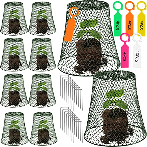 10 Stück grüne Hühnerdraht-Pflanzenabdeckungen, 20,3 x 20,3 cm, Draht, Garten-Glocke, Pflanzenschutz, Metall, Gartenpflanzenglocke, zum Halten von Kaninchen, Hühnern, Eichhörnchen, Vögeln