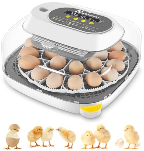 Sailnovo Eierinkubatoren für Bruteier, 24 Eier Brutkasten für Hühnereier mit 4 Modi, 360°-Sicht, Eierbrutschrank mit automatischer Eierwende und Temperaturregelung, Feuchtigkeitsanzeige(Grau)