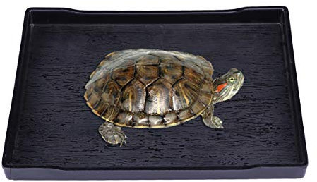 COLLBATH Wassernapf Für Reptilien Großer Futter Und Wassernapf Flaches Design Leicht Zu Reinigen Beschwert Gegen Umkippen Oberfläche Mit Holzmaserung Zum Essen Trinken Und Baden