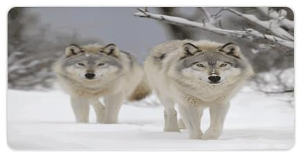Vqqkasmn Desk Mat Mouse Mat‌ Gaming Mouse Pad Large Two Wolves Walking in The Snow Printed for Computers Laptop Office Home