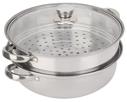 Tyenaza Vaporera de 2 Capas, Olla de Vapor de Acero Inoxidable de 2 Niveles, con Tapa de Cristal Ventilada, para Cocinar Pescado y Camarones al Vapor, Cocinar Sopas de Verduras(27 x 27 x 19,5 cm)