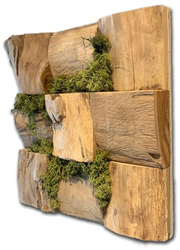 Osila® | Teak Root Wooden Moss Art Square | 30cm x 30cm x 6cm | Moss Wall Art