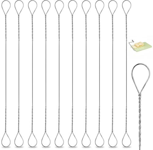 10 Pcs Cheese Slicer Wire, 5.7 Inch Long Stainless Steel Cheeses Cutter Wire, Cheeses Cutting Wires Replacement for Cutting Cheese and Butter Chunks Silver Women Mother Kitchen Tool