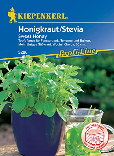 Kiepenkerl Profi-Line Honigkrautsamen Sweet Honey 3286 - Topfpflanze für Fensterbank, Terrasse und Balkon - Wuchshöhe ca. 30 cm - Kräutersamen - Saatgut
