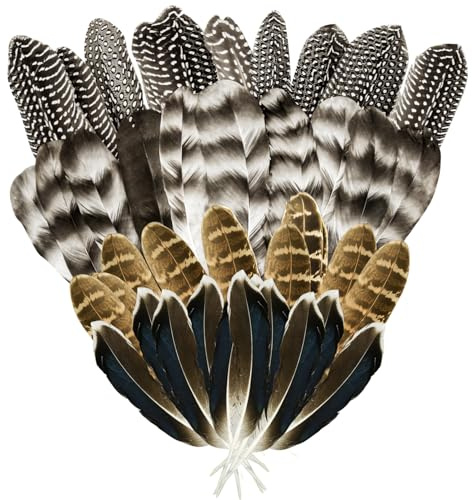 CANIPHA 40 Stück Truthahnfedern zum Basteln, natürliche Fasanenfedern, Hutfedern, 4 Stile, gemischte Bastelfedern, Gepunktete Federn für Blumenarrangements, DIY, Hochzeit, Party, Bastelbedarf
