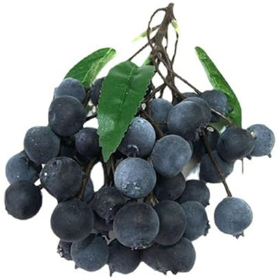MinkeyBear Strauß künstlicher Obst-Fotografie-Requisiten für Korb-Display, Party-Dekorationen, 6 Arten von Früchten, realistische Früchte