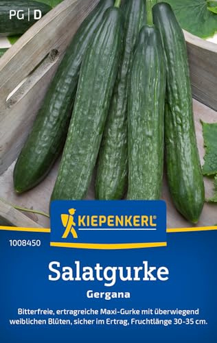Kiepenkerl Salatgurkensamen Gergana 1008450, Gemüsesaat | Fruchtlänge 30-35 cm, Inhalt für 35 Pflanzen, Wuchshöhe ca. 30-200 cm