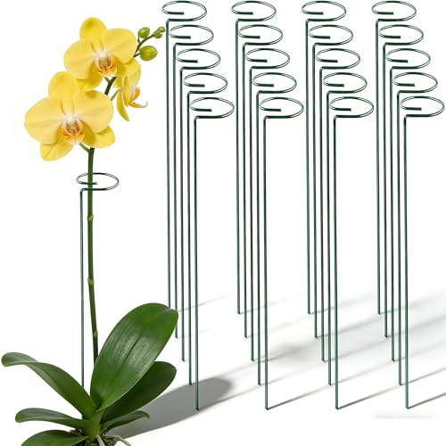Green 24 inch Single Stem Plant Stakes Flower Support Rings, Pack of 20,Gardening Planter Cages for Single Stem Flowers, Amaryllis, Peony, Lily,Narcissus