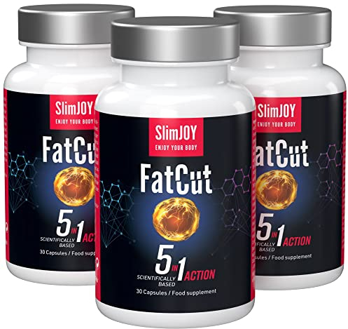 Pre-Workout Kapseln - Guarana, Grüner Tee, Cayennepfeffer, Braunalgen, Schwarzer Pfeffer, L Carnitin und B Komplex Vitamin - 90 Kapseln für 45 Tage Vorrat - FatCut 5-in-1, Slimmium Sensilab