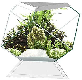 Askoll 280669 Nexus 5C Betta Life White