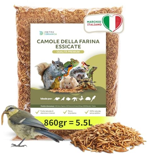 Detox Organica Camole della Farina Essiccate 860g = 5.5 L - Qualità Premium