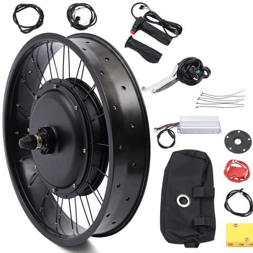20 E-Bike Front Wheel Conversion Kit, 48V 1000W Fat Snow Tire Motor Kit Electric Bike Wide Front Wheel Hub Motor Brushless Gearless Motor with LCD Display for Electric Snow Bikes and Motorbikes