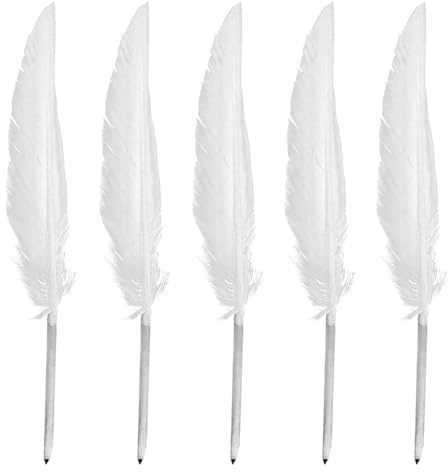 HDGSAFD Confezione Da 5 Penne Stile Piuma, Penne Retrò, Regali Per Studenti, Strumenti Di Scrittura, Materiali Didattici