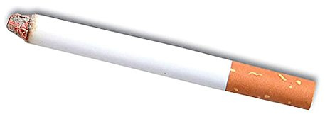 WPN Fausse Cigarette allumée (à l'unité)