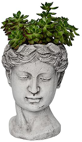AJEYPMZ Keramik Porträt saftigen Blumentopf, Terrakotta Retro Göttin Buddha Kopf Terrakotta Krieger Skulptur Ornamente,style1,Size