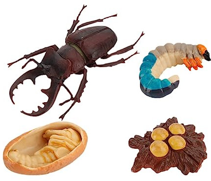 Abaodam 4 Stück Wachstumszyklus Spielzeug Tierisches Wachstumsmodell Evolutionsmodell Kidcraft-spielset Partydekorationen Tierspielzeug Simulationsmodell Spielzeuge Zubehör Insekt Abs Kind