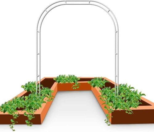 WCQSYY Arco De Jardin para Plantas Arco De Hierro Forjado para Plantas Trepadoras Arco De Rosales para Plantas Trepadoras,Blanca,W3M*H2.2M