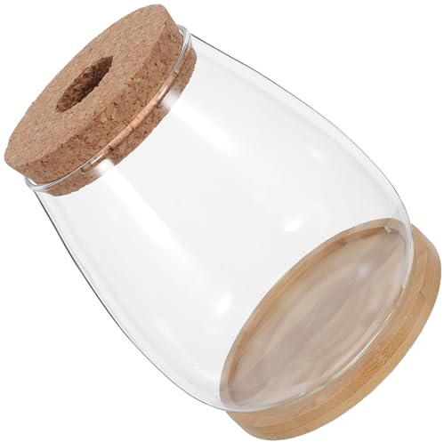 VALICLUD Lot de 2 Sets de Sets de Vases en Verre Propagation des Plantes, Solide avec Support en Bois, pour Orchidées et Décoration sur Rebord de Fenêtre ou Bureau