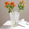 Vase en verre cristal épais de 23 cm - Grand vase décoratif hydroponique - Pour la maison et la table à manger - Cadeau pour mariage, pendaison de crémaillère - Transparent