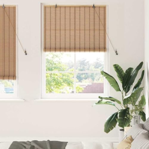 Tenda a rullo in bambù traslucida, manuale per finestre, design naturale in bambù con facile montaggio e luce controllata dall'utente, perfetta per il soggiorno