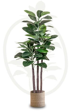 Maia Shop | Ficus | Gummibaum | Kunstpflanzen | Künstlicher Baum | Maße: 150 x 65 cm | Künstliche Pflanzen | Fake Plant | Plastik Pflanze | Deko | Deko Wohnzimmer