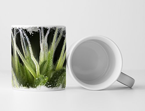 Eau Zone Fotokunst Tasse Geschenk Nahaufnahme Marihuana Knospen