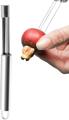 Apfelentkerner,Fruchtentkerner,Apfelausstecher mit Edelstahlklinge,Edelstahl Weißdorn Entkerner Mit Gezackter,Obstgemüsekern Entkerner Multifunktions-Obstentkerner,Für Küchenkirsche Rote Dattel Jujube