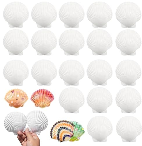 YRUHAN Decoración de Conchas, Decoración Conchas, Conchas Marinas de Playa, Creativas Hechas a Mano, Material Natural, Pintura DIY, Adecuado para Hacer Manualidades, Decoración de Bodas (6-8CM)