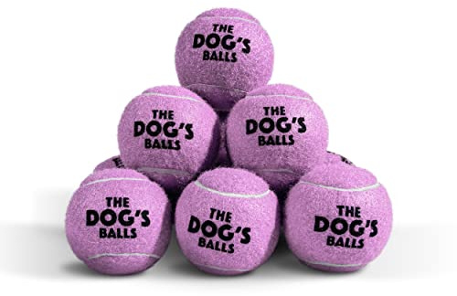 The Dog's Balls Hundetennisbälle Robust 6,3 cm 12er-Pack Lila Schwimmfähig | Apportierbälle: nicht scheuernde Filzhülle & dicker Gummikern – langlebiges Hundespielzeug für Outdoor & Training