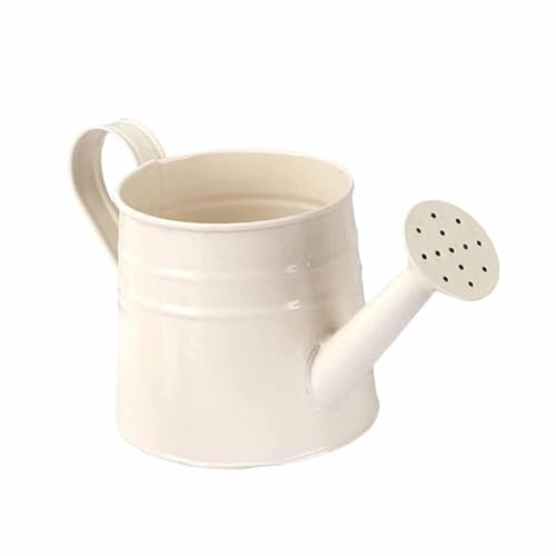 Milageto Mini-Gießkanne aus Metall, 24,5 x 11,5 cm, multifunktionaler rustikaler Blumentopf für den Balkon, Garten, Home Office, stabil, Weiß