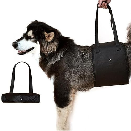 Harnais de Soutien Aide au Transport pour Chien Âgé Harnais de Levage Aide à la Marche pour Les Chiens Handicapés Blessés Support et Rééducation pour Animaux de Compagnie Moyens et Grands, XL