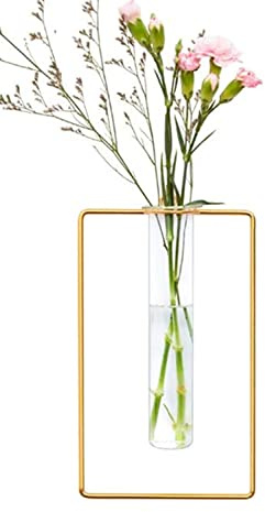 yaocoral Nordic Wall Vase Hanging Geometric Gold Flower Vase Wall Mount Metal Frame Vases Hydroponic Glass Bud Vase Decor for Home Wedding Farmhouse