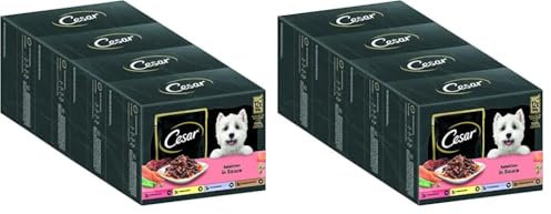 Cesar Adult Hundenassfutter Selektion in Sauce, 48 Portionsbeutel, 12x100g (8er Pack) – Ausgewogenes Premium Hundefutter nass, Auswahl mit Rind, Huhn, Lamm und Truthahn