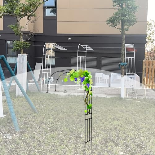 Halbbogen-Rosenbogen zur Wandmontage, 2,4 m, Metall-Kletterpflanzenstütze, Garten für Reben und Blumen, Outdoor-Dekoration für Garten und Terrasse (schwarz, 120 x 240 cm)