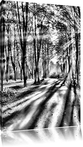 Pixxprint Baumallee im Herbst, Größe: 60x40cm, Leinwandbild, fertig gespannt, Wandbild, Dekoration, Kunstdruck, kein Poster