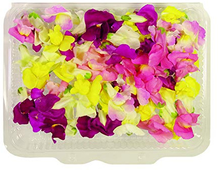 Fiori Commestibili BIOLOGICI - 60 fiori di BOCCA DI LEONE di COLORI ROSA, FUCSIA, VIOLA e GIALLO in vaschetta alimentare di 23 cm x 15 cm x 1,5 cm - Coltivati in Toscana dall'azienda agricola Carmazzi