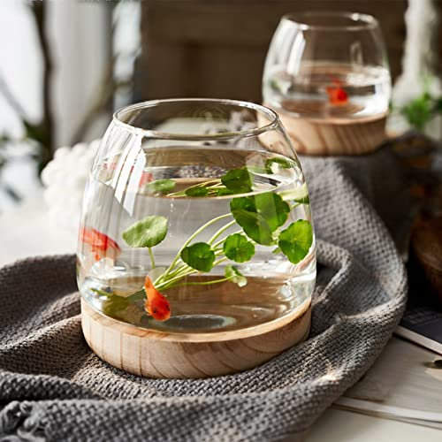 UIYIHIF Glas-Aquarium-Dekorationen, kleine Schreibtisch-Glas-Fischschale mit Holzsockel für Pflanze und Betta-Fische, klare Fisch-Zylinderschale für Büro, Heimdekoration