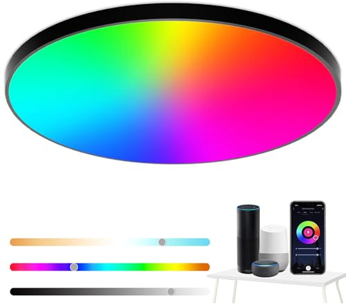 Eregou LED Deckenlampe Dimmbar, 24W 2400LM Smart RGB LED Deckenleuchte, IP44 Wohnzimmerlampe Schlafzimmerlampe, Kompatibel mit Alexa APP Google Assistant, 2700K-6500K