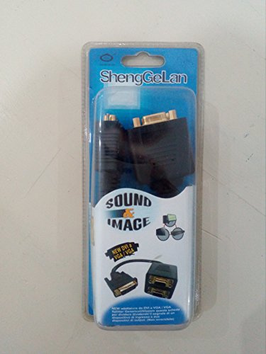 ITALTRADING Cavo Adattatore da DVI A VGA/VGA