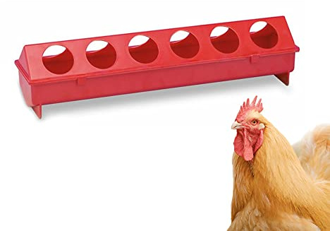 FINCA CASAREJO Comedero Bebedero 50 cm para Gallinas, Faisanes y Aves en General
