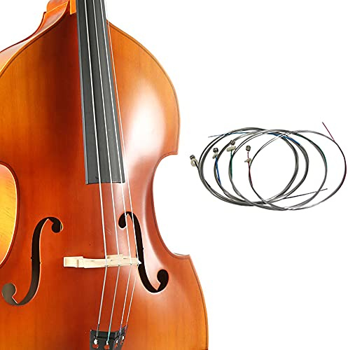 Double Bass String (1/2)