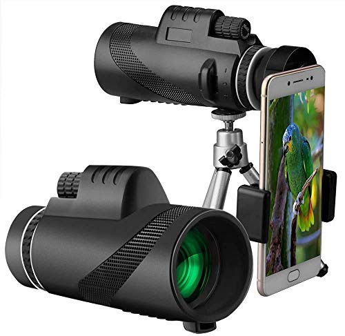 Telescopio monoculare, prisma 40X60 BAK4 e FMC, visione notturna con obiettivo HD ottico zoom con clip per telefono e treppiede per birdwatching, caccia, campeggio, viaggi, paesaggi naturali - Double