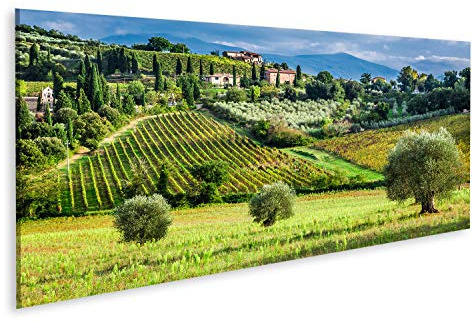 islandburner Bild auf Leinwand Weinberge Olivenbäume Kleines Dorf Toskana Italien Bilder Wandbilder Poster