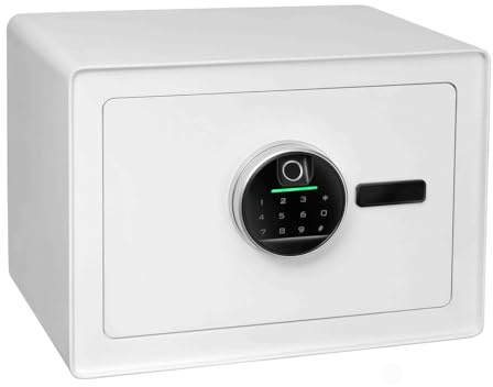 Floordirekt Tresor Murowa - Cassaforte da muro con sensore di impronte digitali – 25 x 35 x 25 cm – Bianco – Serratura a combinazione elettronica – Cassaforte murale per la casa con bulloni di