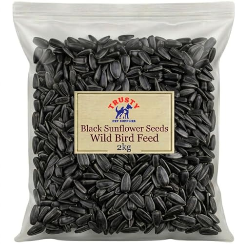 Black Sunflower Seeds for Birds 2kg | Bird Seed & Wild Bird Seed | Bird Seeds for Small Garden Birds | Gold Standard Wild Bird Food | Black Oil Sunflower Seeds | By Trusty Pet Supplies