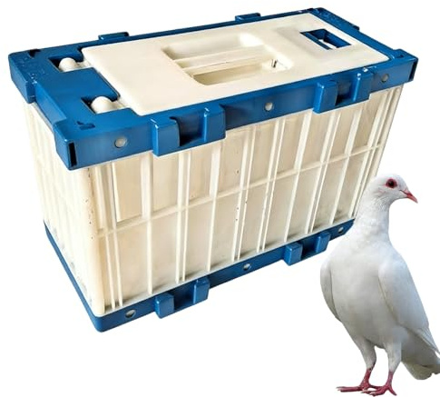Trasportino da viaggio per uccelli, trasportino portatile per piccioni, gabbia per calopsitte, con serratura, per allenamento all'aperto, parrocchetto, calopsitta